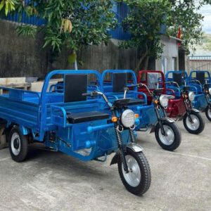 Xe Điện 3 Bánh Chở Hàng Tải Trọng 700kg